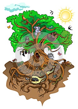 Inhabitants of the tree