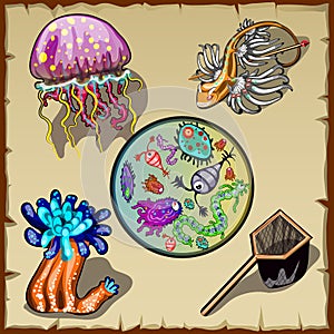 Inhabitants underwater world and microorganisms