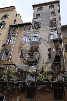 INHABITED HOUSE IN VERONA