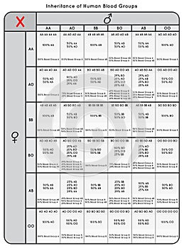 Inheritance of Human Blood Groups Table chart Infographic Diagram