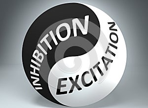 Inhibition and excitation in balance - pictured as words Inhibition, excitation and yin yang symbol, to show harmony between