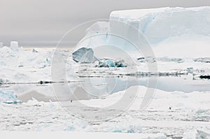 Inhospitable Antarctica photo