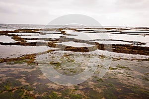 Inhospitable Atlantic Coast, Morocco photo