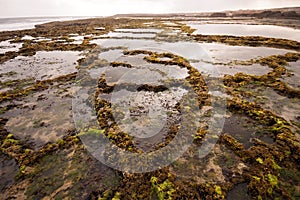 Inhospitable Atlantic Coast, Morocco photo