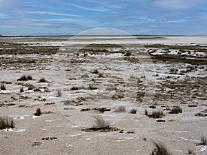 Inhospitable landscape in Etosha National Park. Namibia photo