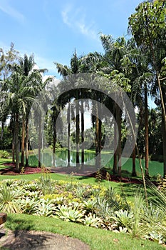 Inhotim Botanical Garden photo