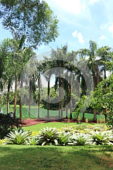Inhotim Botanical Garden photo