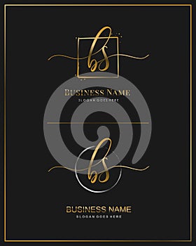 Initial B S BS handwriting logo vector. Letter handwritten logo template.