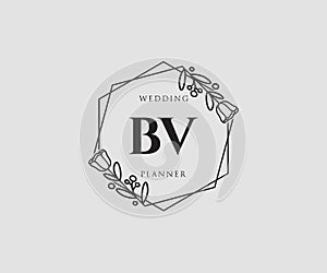 Initial BV feminine logo. Usable for Nature, Salon, Spa, Cosmetic and Beauty Logos. Flat Vector Logo Design Template Element