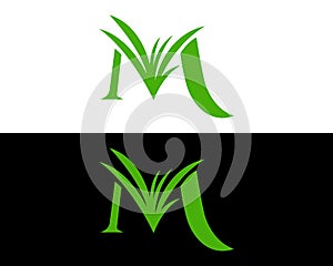 Initial Letter M Green Paddy leaves and Wheat leaves logo Template.