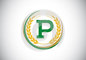 Initial letter P sign symbol with wheat ears wreath. Organic wheat farming logo design concept. Agriculture logo design vector