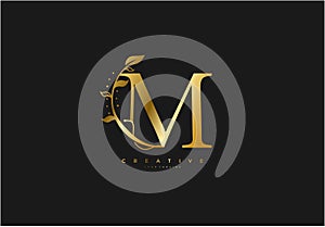 Initial M Letter Linked Swoosh Rounded Monogram Logotype