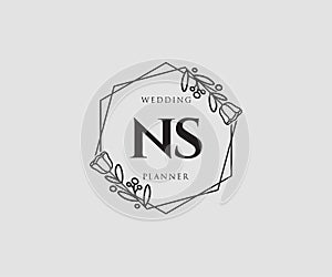 Initial NS feminine logo. Usable for Nature, Salon, Spa, Cosmetic and Beauty Logos. Flat Vector Logo Design Template Element