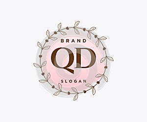 Initial QD feminine logo. Usable for Nature, Salon, Spa, Cosmetic and Beauty Logos. Flat Vector Logo Design Template Element
