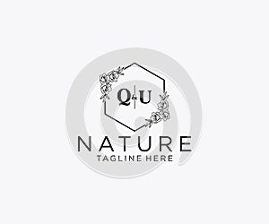 initial QU letters Botanical feminine logo template floral, editable premade monoline logo suitable, Luxury feminine wedding