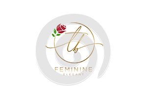 initial TB Feminine logo beauty monogram and elegant logo design, handwriting logo of initial signature, wedding, fashion, floral