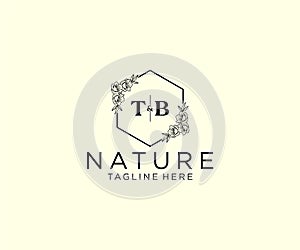 initial TB letters Botanical feminine logo template floral, editable premade monoline logo suitable, Luxury feminine wedding