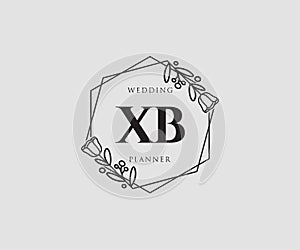 Initial XB feminine logo. Usable for Nature, Salon, Spa, Cosmetic and Beauty Logos. Flat Vector Logo Design Template Element