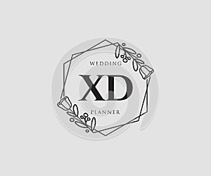 Initial XD feminine logo. Usable for Nature, Salon, Spa, Cosmetic and Beauty Logos. Flat Vector Logo Design Template Element