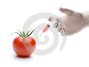 Injecting a liquid into a tomato
