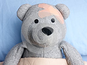 Injured Teddy Bear plasters head bed photo