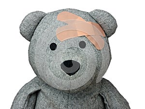 Injured Teddy Bear plasters head isolated photo