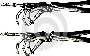 Ink drawing of a pointing skeleton hand