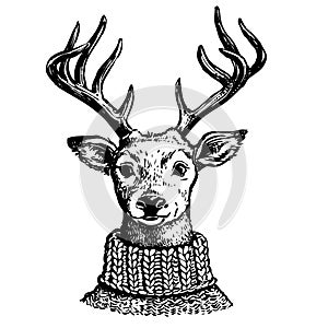 Ink drawing of reindeer in knit sweater