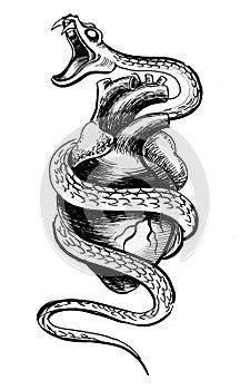 Heart and snake
