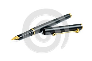 Ink fountain pen