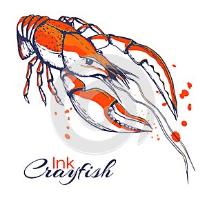 Ink hand drawn crayfish concept for decoration or design. Ink spattered crawfish illustration. red boiled lobster drawn