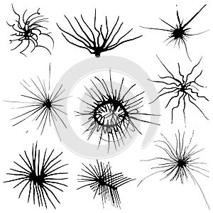 Ink hand drawn design elements.