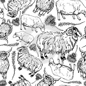 Ink hand drawn graphic vector sketch. Seamless pattern with scottish symbol objects. Sheep and horned ram, hairy coo cow