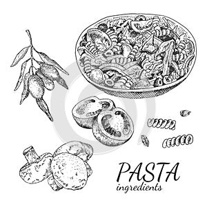 Ink hand drawn pasta ingredient set