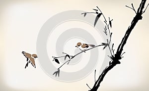 Ink painted bamboo and bird