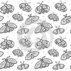 Ink seamless pattern with hand drawn moths. Vector background photo