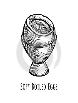 Ink sketch of soft boiled egg.