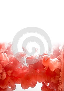 Ink swirling in water, cloud of ink in water isolated on white. Abstract banner