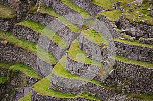 Inka terraces