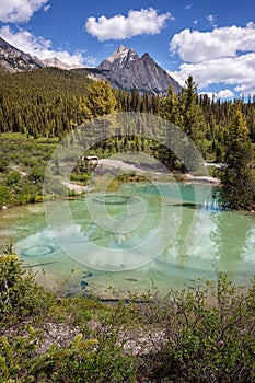`Inkpots` in Banff National Park, Alberta, Canada