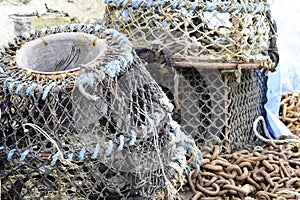 Inkwell lobster and crab pots