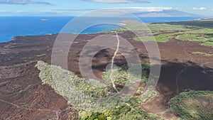 Inky Veins of Earth: Aerial Symphony Over La Perouse Bay’s black lava fields