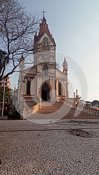 Beautiful historic Mother Church of SÃÂ£o Paulo Paulo in a tree-lined square in the center of the city. Place of photo