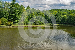 Inland in a Pond at Glen Alton Recreation Area