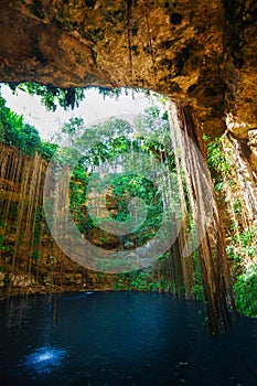 Inlet opening of Ik-Kil cenote with hanging roots