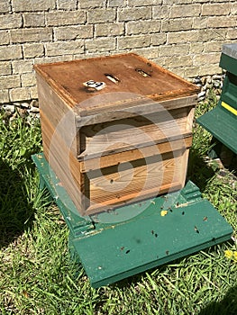 The inner boxes of a WBC beehive. Beekeeping