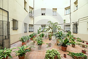 An inner courtyard of a building with a multitude of potted plants and
