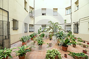 An inner courtyard of a building with a multitude of potted plants and photo