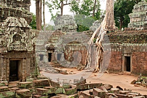 Inner courtyard, Ta Prohm temple, Cambodia