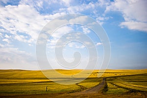 Inner Mongolia Grassland